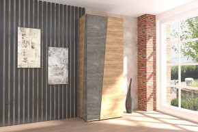 Аллегро-10 Шкаф двухдверный Диал в Междуреченском - mezhdurechenskij.mebel-tymen.ru | фото