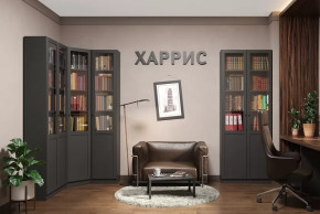 Библиотека Харрис в Междуреченском - mezhdurechenskij.mebel-tymen.ru | фото