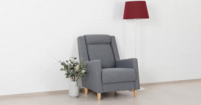 Дилан Кресло для отдыха арт. ТК 423 в Междуреченском - mezhdurechenskij.mebel-tymen.ru | фото