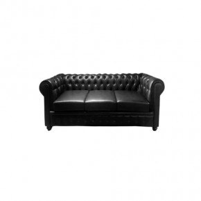 Диван прямой "CHESTER 3D" (ЧЕСТЕР 3D) в Междуреченском - mezhdurechenskij.mebel-tymen.ru | фото