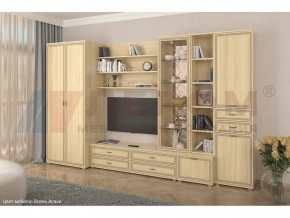 Гостиная Карина набор 11 в Междуреченском - mezhdurechenskij.mebel-tymen.ru | фото