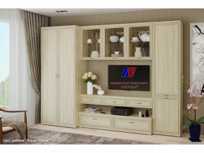 Гостиная Карина набор 23 в Междуреченском - mezhdurechenskij.mebel-tymen.ru | фото