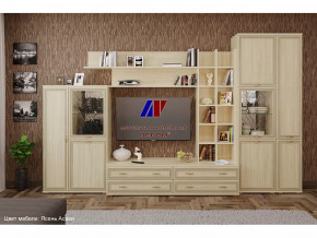 Гостиная Карина набор 5 в Междуреченском - mezhdurechenskij.mebel-tymen.ru | фото