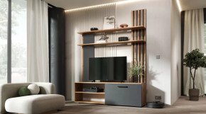 Гостиная Каролина Дуб Вотан/Графит в Междуреченском - mezhdurechenskij.mebel-tymen.ru | фото