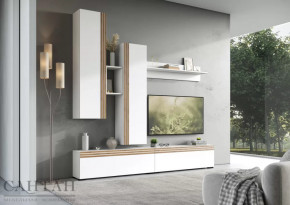 Гостиная НАО-Моно №1 в Междуреченском - mezhdurechenskij.mebel-tymen.ru | фото