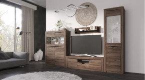 Гостиная Серия Регина дуб самдал в Междуреченском - mezhdurechenskij.mebel-tymen.ru | фото