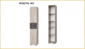 "ИМИДЖ" модуль №05, шкаф в Междуреченском - mezhdurechenskij.mebel-tymen.ru | фото