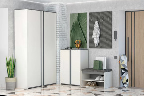 Иннэс-12 Прихожая №2 Диал в Междуреченском - mezhdurechenskij.mebel-tymen.ru | фото