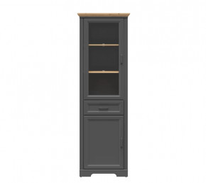 JASMIN шкаф REG1W1D1S (Графит/ Дуб артизан) в Междуреченском - mezhdurechenskij.mebel-tymen.ru | фото