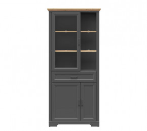 JASMIN шкаф REG1W2D1S (Графит/ Дуб артизан) в Междуреченском - mezhdurechenskij.mebel-tymen.ru | фото