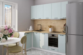 Кухонный гарнитур Лиора прайм 400 1100х2000 мм в Междуреченском - mezhdurechenskij.mebel-tymen.ru | фото