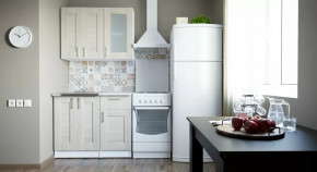 Кухонный гарнитур Лира мини 1000 мм в Междуреченском - mezhdurechenskij.mebel-tymen.ru | фото