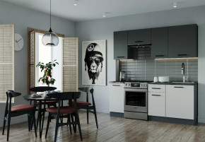 Кухонный гарнитур Лофт-2000 столешница 26 мм в Междуреченском - mezhdurechenskij.mebel-tymen.ru | фото