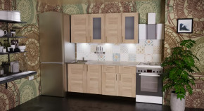 Кухонный гарнитур Ника демо 1700 мм в Междуреченском - mezhdurechenskij.mebel-tymen.ru | фото