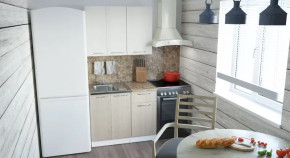 Кухонный гарнитур Ольга мини 2 1000 мм в Междуреченском - mezhdurechenskij.mebel-tymen.ru | фото