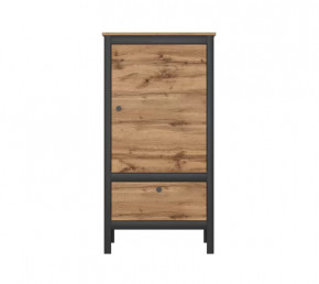 LOFT шкаф REG1D1S/60 (Дуб вотан/Черный) в Междуреченском - mezhdurechenskij.mebel-tymen.ru | фото