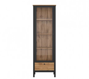 LOFT шкаф REG1W1S (Дуб вотан/Черный) в Междуреченском - mezhdurechenskij.mebel-tymen.ru | фото