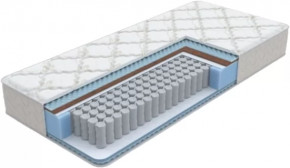 Матрас Баланс evs в Междуреченском - mezhdurechenskij.mebel-tymen.ru | фото