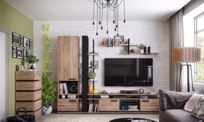 Модульная гостиная Nature в Междуреченском - mezhdurechenskij.mebel-tymen.ru | фото