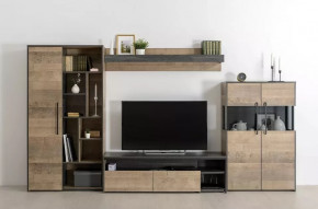 Модульная гостиная Трувор в Междуреченском - mezhdurechenskij.mebel-tymen.ru | фото