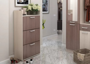 Обувница №2 Дели в Междуреченском - mezhdurechenskij.mebel-tymen.ru | фото