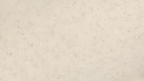 Панель пристенная 6х600х3000 в Междуреченском - mezhdurechenskij.mebel-tymen.ru | фото