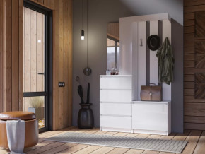 Прихожая Челси белый в Междуреченском - mezhdurechenskij.mebel-tymen.ru | фото