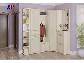 Прихожая Карина набор 5 в Междуреченском - mezhdurechenskij.mebel-tymen.ru | фото