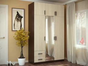 Шкаф 3-х створчатый с перегородкой венге/лоредо БТС в Междуреченском - mezhdurechenskij.mebel-tymen.ru | фото