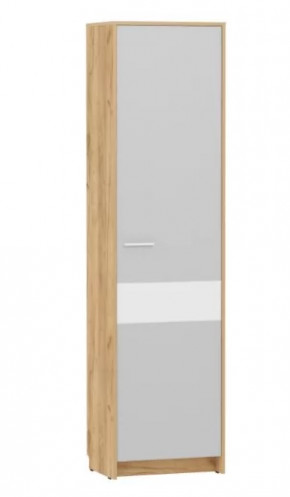 Шкаф для одежды Нортон НМ 013.12 в Междуреченском - mezhdurechenskij.mebel-tymen.ru | фото