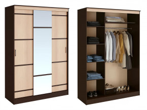 Шкаф-купе Сакура в Междуреченском - mezhdurechenskij.mebel-tymen.ru | фото