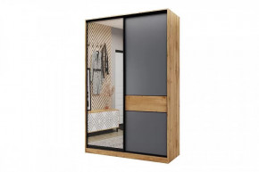 Шкаф-купе SLIM двухдверный BS15-6.ZD в Междуреченском - mezhdurechenskij.mebel-tymen.ru | фото