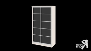 Шкаф-купе «Стэн» СМ-140.01.001 в Междуреченском - mezhdurechenskij.mebel-tymen.ru | фото