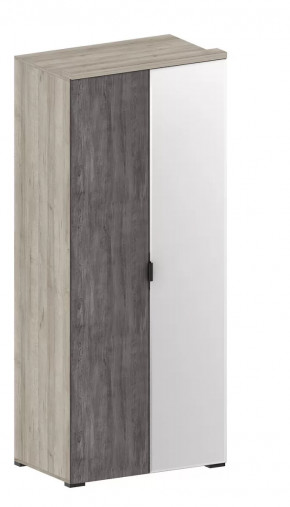 Шкаф Шаде ШК-2903 в Междуреченском - mezhdurechenskij.mebel-tymen.ru | фото