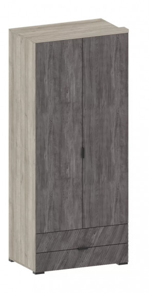 Шкаф Шаде ШК-2905 в Междуреченском - mezhdurechenskij.mebel-tymen.ru | фото