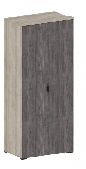 Шкаф Шаде ШК-2908 в Междуреченском - mezhdurechenskij.mebel-tymen.ru | фото