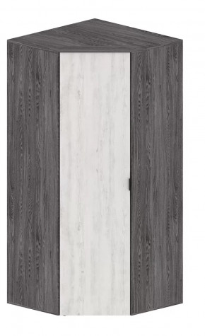 Шкаф Шаде ШК-2910 в Междуреченском - mezhdurechenskij.mebel-tymen.ru | фото