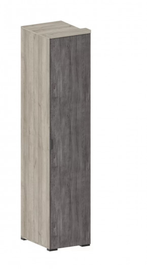 Шкаф Шаде ШК-2911 в Междуреченском - mezhdurechenskij.mebel-tymen.ru | фото