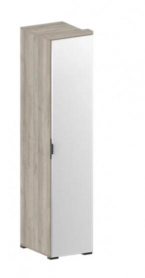 Шкаф Шаде ШК-2912 в Междуреченском - mezhdurechenskij.mebel-tymen.ru | фото