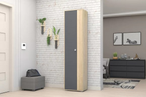 Шкаф ШК-01 Монако в Междуреченском - mezhdurechenskij.mebel-tymen.ru | фото