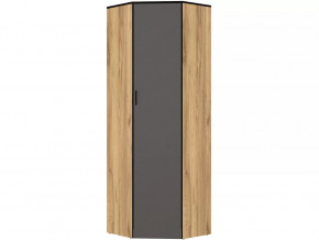 Шкаф угловой без зеркала Ольга-Лофт 9.1 в Междуреченском - mezhdurechenskij.mebel-tymen.ru | фото