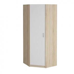 Шкаф угловой "Салоу" 900 в Междуреченском - mezhdurechenskij.mebel-tymen.ru | фото