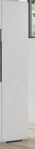 Шкаф Уна Лофт ШК-2807 в Междуреченском - mezhdurechenskij.mebel-tymen.ru | фото