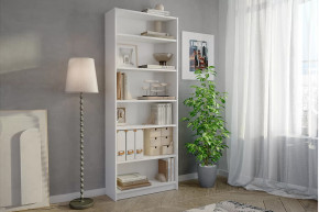 Стеллаж Бильд в Междуреченском - mezhdurechenskij.mebel-tymen.ru | фото