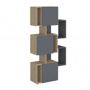 Стеллаж Дублин в Междуреченском - mezhdurechenskij.mebel-tymen.ru | фото