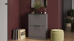 Тумба для обуви «Хилтон» Исп.2 Серый графит, Графит матовый в Междуреченском - mezhdurechenskij.mebel-tymen.ru | фото