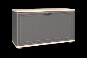 Тумба для обуви ТБ-1041 Карина в Междуреченском - mezhdurechenskij.mebel-tymen.ru | фото