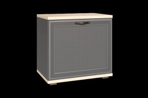 Тумба для обуви ТБ-1042 Карина в Междуреченском - mezhdurechenskij.mebel-tymen.ru | фото