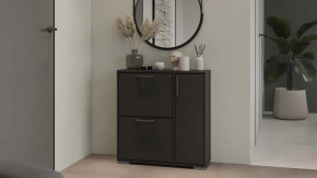 Тумба для обуви Тип 15 Антрацит в Междуреченском - mezhdurechenskij.mebel-tymen.ru | фото