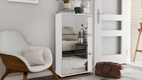 Тумба для обуви тип 8 в Междуреченском - mezhdurechenskij.mebel-tymen.ru | фото